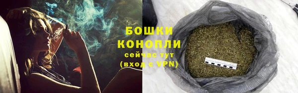 гашик Верея