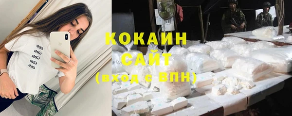 гашик Верея