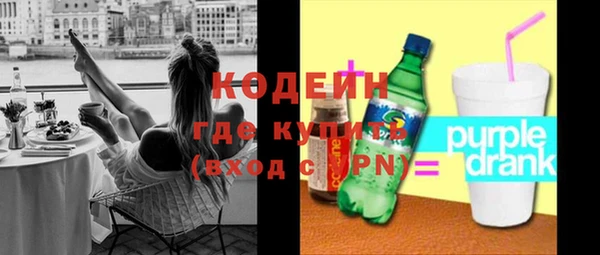 гашик Верея