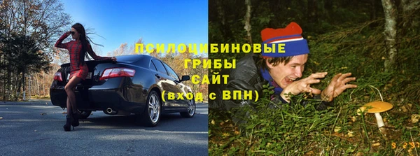 гашик Верея