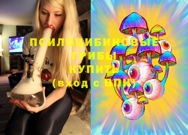 PSILOCYBIN Верхнеуральск