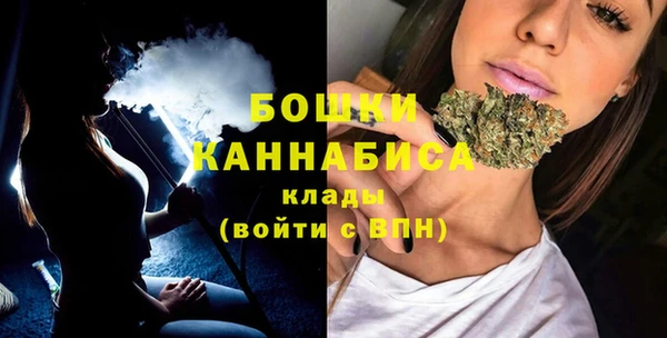 гашик Верея