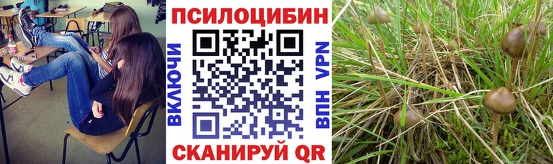 Галлюциногенные грибы MAGIC MUSHROOMS  Киржач 